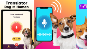 Human to Dog Translator App Review: Talk to Your Dog Like Never Before Human to Dog Translator App Review: Talk to Your Dog Like Never Before